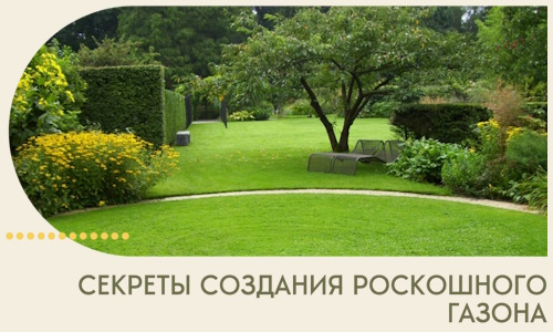Секреты создания роскошного газона в Усинске