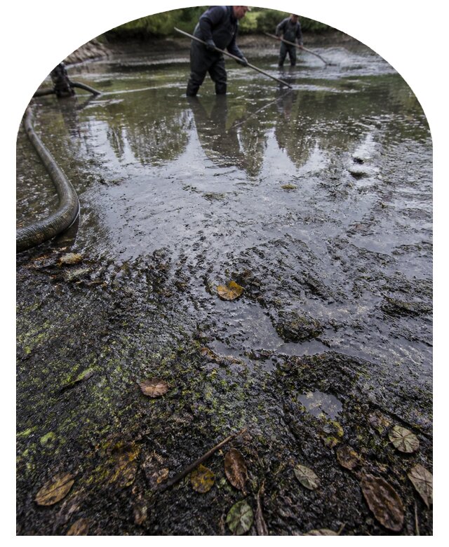 Очистка пруда в Усинске от ила мусора и водорослей с вывозом